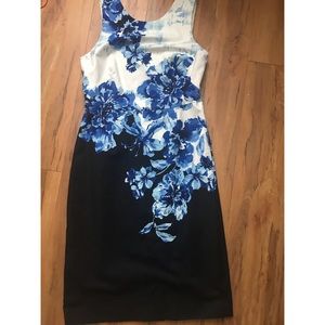 ANTHROPOLOGIE-MAEVE SHEATH